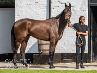 NH220326-8 - Thewoodcorner